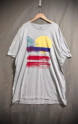 Banana Republic graphic TEE 寬大抽象印花竹節紋棉T XL oversize