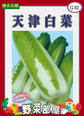 【野菜部屋~】G02日本天津白菜種子0.65公克 , 長型竹筍白菜, 每包15元~