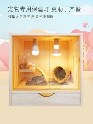 奇奇蘆丁雞飼養箱寵物籠科爾鴨籠子雞窩屋鵪鶉鴿子籠育雛室內保溫箱