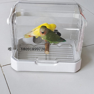 保溫箱雛鳥鸚鵡外出籠便攜帶籠手提盒外帶鸚鵡保溫箱透明透氣幼鳥小鳥籠冷藏箱