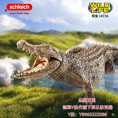 仿真模型思樂schleich鱷魚14736野生爬行動物模型仿真兒童塑膠男孩小玩具