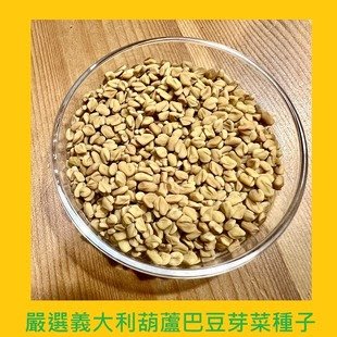 台灣PIH嚴選-葫蘆巴豆芽菜專用種子 150ml-防潮袋-印度-種子花苗