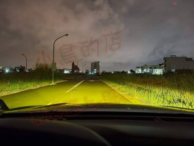 【小鳥的店】豐田 HILUX 2019-2022 海力士 皮卡 雷Right LED燈泡 霧燈 MIT 黃金光 白光