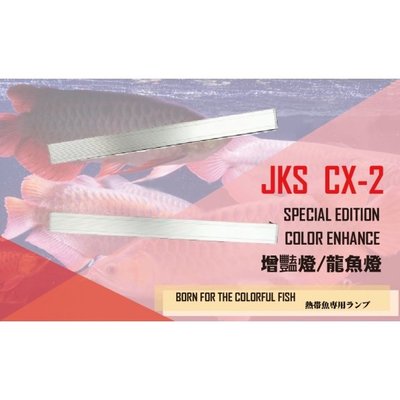 【JKS】CX-2 PLUS 1.5尺/45CM LED可變形專業(增豔)造型跨燈