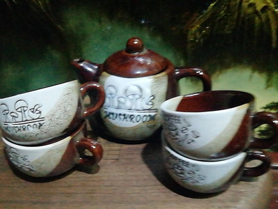 新 70年代長沙銅官窯外銷茶具(咖啡具)5件套，壺容量約350毫