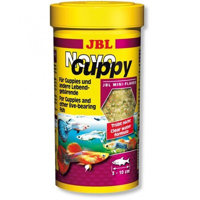 ~永和＊魚餘水族~德國JBL-珍寶Novo Guppy 孔雀魚 專用飼料 100ml 小型魚 餵食 薄片