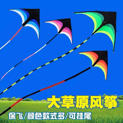 風箏大人小孩專用高檔濰坊型草原端業級新款3d立體2024燕子易飛機