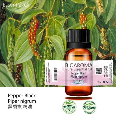 【芳香療網】Pepper Black - Piper nigrum 黑胡椒精油 100ml