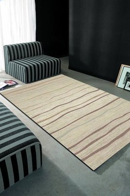【范登伯格】沙加緬度毯面層次分明進口熱捻技術織造地毯.最後2條.賠售價6290元含運-160x230cm