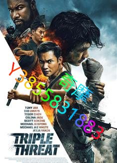 DVD 專賣店 三重威脅之跨國大營救/三重威脅/Triple Threat