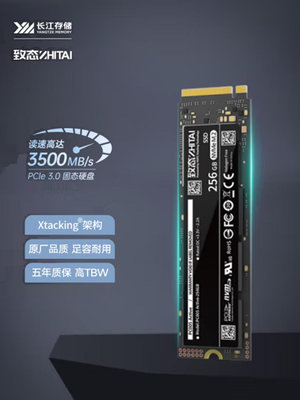 致鈦PC005 長江存儲 256G 512GB 1TB SSD固態硬碟  M.2 PCIE3.0
