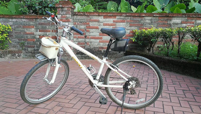 捷安特 白色 Giant meme 15吋 女性 腳踏車 單車