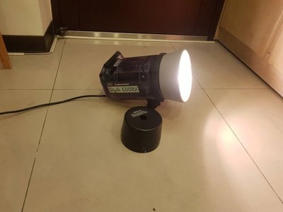 Elinchrom Style 600 RX 攝影棚燈單燈頭*只要13500元*(GL048)