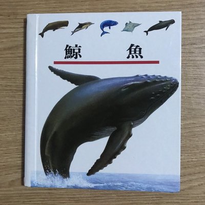 【MY便宜二手書/童書*35】第一個發現：鯨魚│理科出版