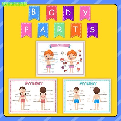Body Parts 身體部位 英語A4海報 幼兒人體認知學習 性別啟蒙教育 幼稚園國小教具  財源滾滾雜貨鋪