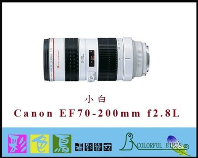 彩色鳥(租鏡頭)租 Canon EF 70-200mm F2.8L USM 小白 5D4 A73 R5 R6