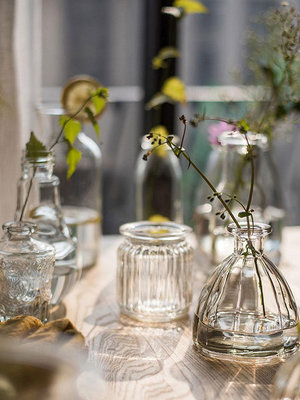 復古玻璃花瓶插花迷你小花瓶ins風法式透明水培器皿桌面裝飾擺件-瑞芬好物家居