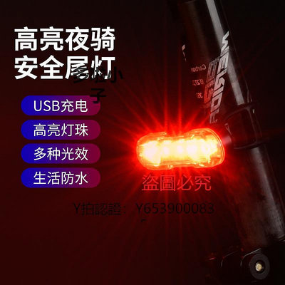 車燈 自行車尾燈山地公路車USB充電后夜騎燈兒童夜間夜行單車騎行裝備
