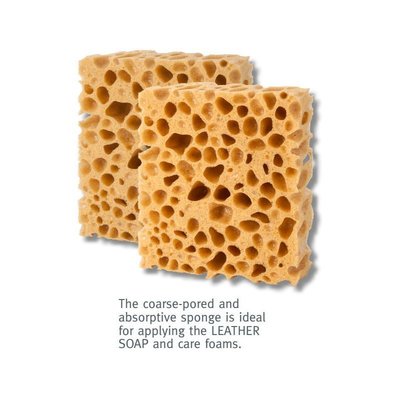 德國pedag Sponge 蜂巢海綿 ~ 德國原裝進口、搭配清潔泡沫噴劑使用 (2塊)