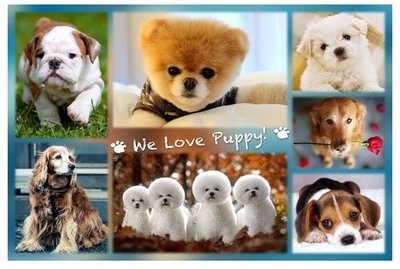 【全新1000片盒裝夜光拼圖】夜光拼圖-狗狗 We Love Puppy (1000-176D) 現貨供應