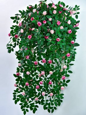 【熱賣精選】仿真薔薇玫瑰藤蔓吊蘭綠植墻壁掛塑料假花藤條裝飾室內客廳擺設件