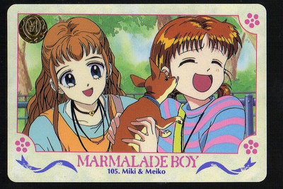 《CardTube卡族》(061122) 105 日本原裝橘子醬男孩 萬變卡∼ 1995年遊戲普卡