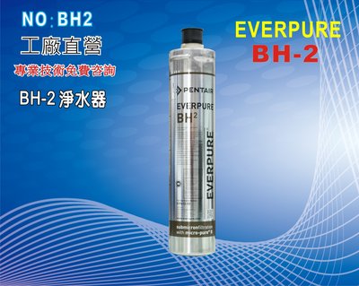 【龍門淨水】Everpure/BH2淨水器. 另售S100、S104、H104、4C (貨號BH2)