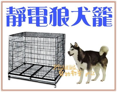 【Plumes寵物部屋】3尺x2尺《烤漆折疊靜電狼犬籠》強化底部粗鐵材/大型犬角鋼座狗籠(A)