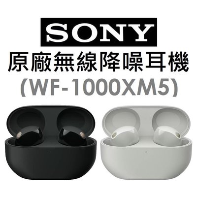 雙11【原廠盒裝】索尼 SONY WF-1000XM5 原廠真無線藍牙降噪耳機 藍芽 QI無線充電 IPX4防水
