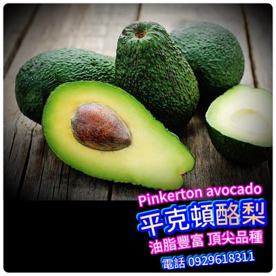 澳洲平克頓酪梨pinkerton avocado【嫁接苗】本賣場滿3棵免運 買5棵送一棵