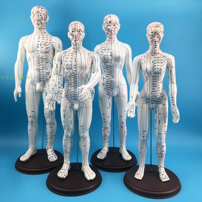 [MEDI-K_00786] 中醫學人體針灸模型60CM教學經絡穴位示教練習訓練模擬橡皮假人