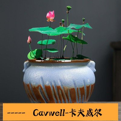 Cavwell-花器 種植盆 大號陶瓷水培碗蓮專用盆睡蓮荷花缸銅錢草一葉蓮水養植物無孔花盆-可開統編