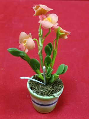 泰國佛牌-供花（蘭花1）