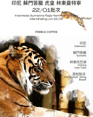 咖啡生豆(1000克) 虎皇 林東曼特寧 濕刨除法 印尼 蘇門答臘 樂吉波咖啡工務所 每單限重4公斤
