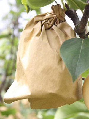 溜溜水果套袋專用袋防蟲保護袋芒果梨桃子枇杷果樹防鳥果袋套水果紙袋