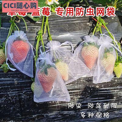 草莓果實套袋水果保護袋防鳥罩防蟲網紗袋透氣番茄黃桃藍莓鳥套網~CICI隨心購