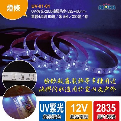 LED燈具【UV-01-01】2835滴膠防水-395~400nm帶軟條DC12V-波長395 5米長 可裁剪