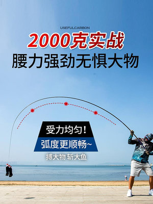 魚竿日本碳素達瓦櫻花釣魚竿手竿超輕超硬19調臺釣竿大物十大名牌
