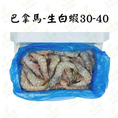 巴拿馬活凍生白蝦30-40【每盒700公克】《大欣亨》B211039    #2