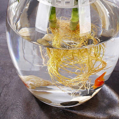 【現貨】魚缸玻璃辦公桌個性小型桌面創意圓柱形水培加厚圓形小魚迷你缸