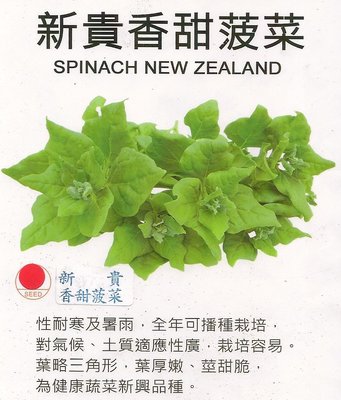 【蔬菜種子S300】新貴香甜菠菜（又叫做番杏）~ 葉厚嫩，莖甜脆，適合炒食、煮湯，為健康蔬菜的新品種。