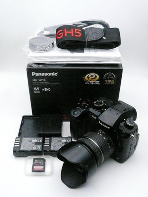 *專業微單* Panasonic GH5 + 14-42mm 變焦鏡  -