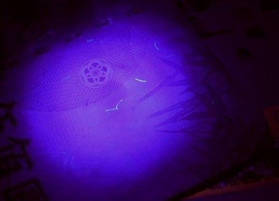 光展 5mm led UV LED紫外線(波長390nm~410nm) 美甲 植物燈 捕蚊 美甲 紫光
