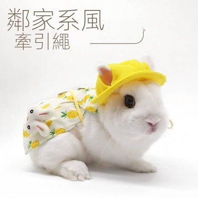 下殺-寵物兔子衣服/垂耳兔服飾/寵物衣服/兔子衣服/小寵服飾/寵物/兔子/寵物服飾/寵物用品/超取免運