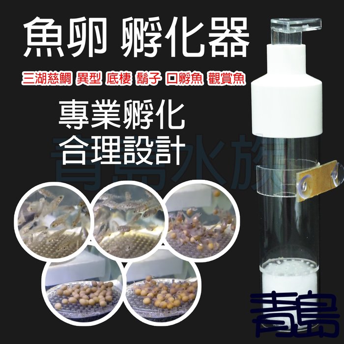 Y 青島水族 Pj 29三湖慈鯛孵化器魚卵孵化器蝦卵孵化器螯蝦異形底棲魚異型水晶蝦均適用 Yahoo奇摩拍賣