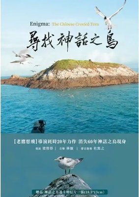 合友唱片 實體店面 尋找神話之鳥 藍光 Enigma:The Chinese Crested Tern BD