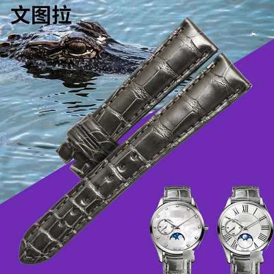 替換錶帶 文圖拉美洲鱷魚皮錶帶 適合原裝真力時薄款女真皮手錶帶菁英STAR
