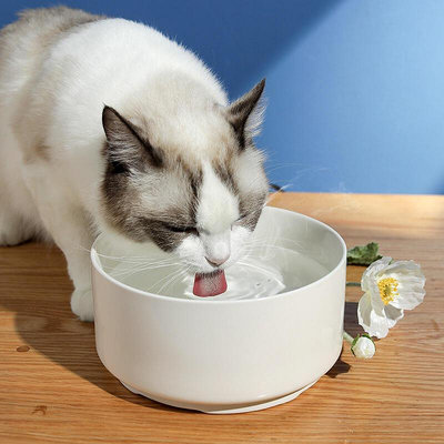 碗恆溫加熱陶瓷碗寵物碗冬季咪食盆飲水機喝水寵物用品