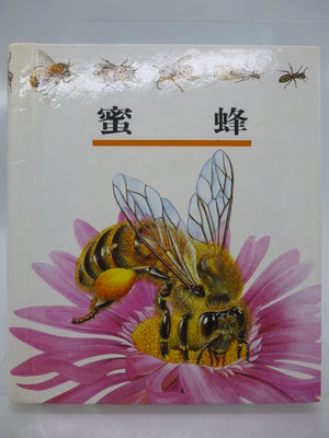 【月界二手書店2S】蜜蜂－第一個發現系列33．精裝本．初版二刷（絕版）_理科出版社　〖少年童書〗CSR