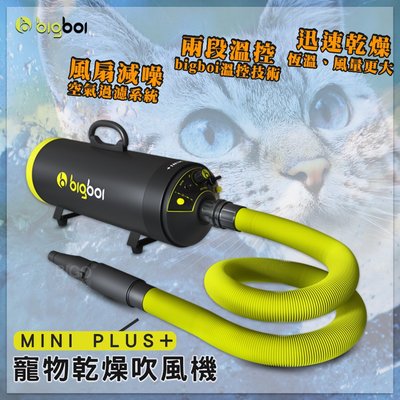現貨熱銷 bigboi 寵物乾燥吹風機 MINI PLUS+ 吹水機 乾燥吹風機 寵物美容 寵物吹毛 寵物吹水 雙馬達